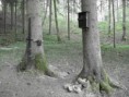 /album/fotogaleria-fotogaleria/drop-versteckt3-jpg1/